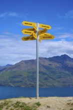 A signpost on a hill shows yellow signs in different directions, Queenstown, Queenstown-Lakes