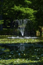 Fountain in a pond with bubbling water, surrounded by water lilies and green trees, Queenstown,