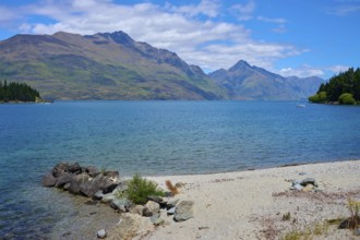 Clear lake with beach and mountains surrounded by natural beauty, Queenstown, Queenstown-Lakes