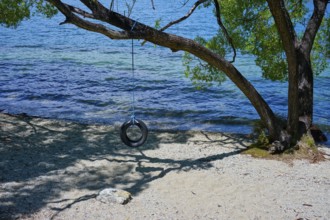 Tyre swing on a tree above a lake shore with water view, Queenstown, Queenstown-Lakes District,
