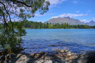 Clear lakeshore with view of mountains and forest in the background, Queenstown, Queenstown-Lakes