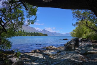 Shore view with trees, lake and mountain panorama in the background, Queenstown, Queenstown-Lakes