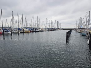 Numerous moored sailing boats in the harbour with cloudy sky, calm sea and parallel jetties, Laboe,