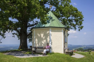 Lookout chapel with Luitpoldeiche, near Törwang, Samerberg, Chiemgau, Upper Bavaria, Bavaria,