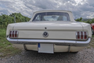Rear view Ford Mustang, Southern Palatinate, Palatinate, Rhineland-Palatinate, Germany
