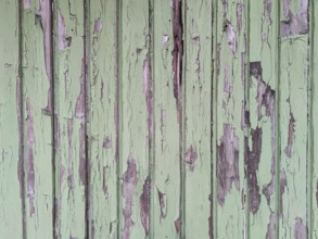Old wooden door with peeling paint, texture, background, Germany