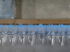 Hanging wine glasses with blue backlighting, Rhineland-Palatinate, Germany