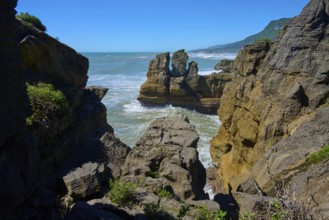Coastline with steep cliffs and dense vegetation in the distance, Pancake Rocks, Westport,