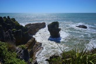 Dramatic rocks rise from the ocean waves, surrounded by natural wilderness, Pancake Rocks,