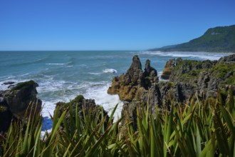 Barren cliffs and lush coastal vegetation meet the foaming sea under a clear sky, Pancake Rocks,
