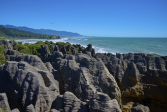 Striking rock formations tower over the roaring sea under a clear blue sky, Pancake Rocks,