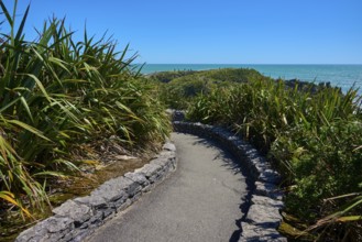 Sea view along a winding road through a green landscape, Pancake Rocks, Westport, Greymouth, West