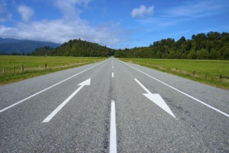 Straight country road with arrows, flanked by green fields and forest, West Coast, South Island,
