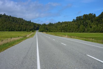 Empty road through rural fields and forests under a clear sky, West Coast, South Island, New