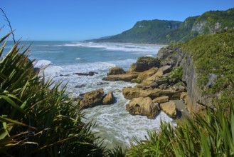 Stormy coastline with rocks and lush vegetation under a blue sky, Pancake Rocks, Westport,
