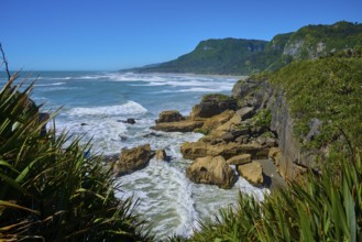Rocky coast with stormy surf and dense vegetation, Pancake Rocks, Westport, Greymouth, West Coast,