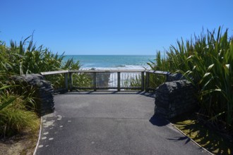 Plants flanking a platform overlooking the sea, framed by a clear blue sky, Pancake Rocks,