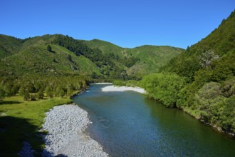 Extensive river course through green mountains under a clear sky, Buller River, Murchison, Tasman,