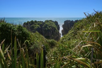 Cliffs with lush plants provide a view of the open sea and clear sky, Pancake Rocks, Westport,
