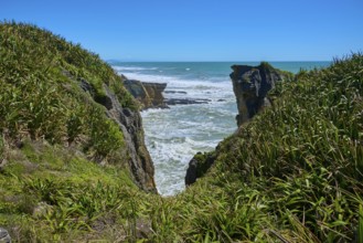 Cliff landscape with lush green vegetation and roaring sea behind the rocks, Pancake Rocks,