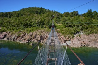 Suspension bridge over turquoise river, surrounded by dense forest under blue sky, Buller Gorge