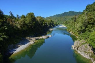 River with sandbanks and wooded hills surrounded by nature, Buller River, Murchison, Tasman, South
