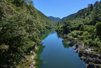 Clear river between wooded hills, tranquil mountain landscape, Buller River, Murchison, Tasman,