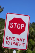Stop sign indicating give way on a road under a clear blue sky, Pancake Rocks, Westport, Greymouth,
