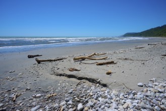 Rocky beach with driftwood and a view of the blue ocean, West Coast, South Island, New Zealand