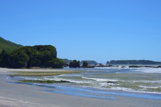 Coastal landscape with rocks, green hinterland and calm waves, West Coast, South Island, New