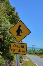 Road sign warning of penguins with a view of blue sky and green vegetation, West Coast, South