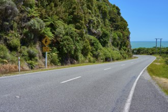 Scenic road with green hill and blue sky backdrop, West Coast, South Island, New Zealand