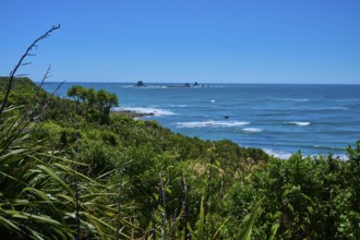 View of the coast with lush vegetation and waves, Cape Foulwind, West Coast, South Island, New