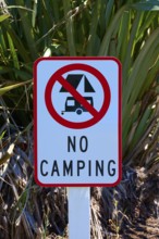 Sign prohibiting camping in a natural environment, West Coast, South Island, New Zealand
