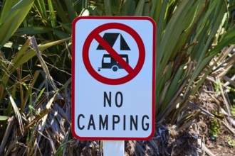 Prohibition sign for camping in a natural environment with green plants, West Coast, South Island,