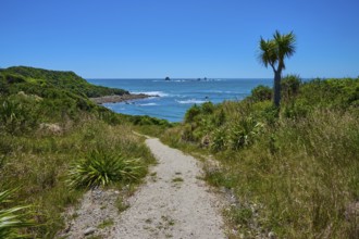 Path leads through green terrain to the sea under a bright sky, Cape Foulwind, West Coast, South