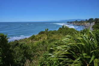Lush vegetation against a vast ocean backdrop, Cape Foulwind, West Coast, South Island, New Zealand