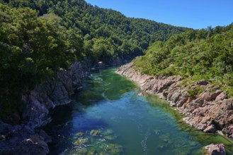 Clear river in rocky surroundings with dense forest along the gorge, Buller River, Murchison,