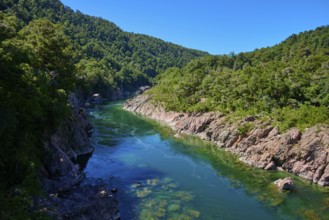 River flows through rocky gorge, surrounded by green nature, Buller River, Murchison, Tasman, South