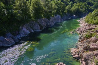 Emerald green river surrounded by rocks and dense forest, Buller River, Murchison, Tasman, South