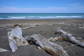 Tranquil coastal landscape with driftwood and calm sea views, Mana Bay, Patea, Taranaki, North