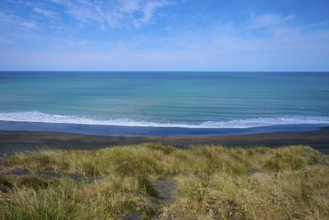 Panoramic view of the endless sea with grassy coastline and gentle waves under a clear sky, Mana