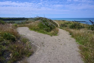 A sandy path leads through grassland to the distant sea under a blue sky, Mana Bay, Riverview