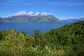 Lush green landscape with mountains in the background and a blue lake, Drift Bay, Lake Wakatipu,