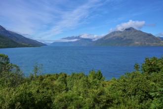 Landscape with lake and mountains, surrounded by green vegetation, Drift Bay, Lake Wakatipu,