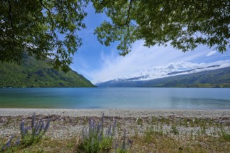 Idyllic seascape with mountains and cloudy sky, Kingston, Queenstown-Lakes District, Otago, South