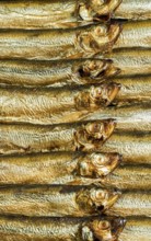 Detail shot showing lots of fresh smoked sprats
