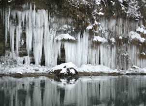 Lots of icicles near river Kocher in Southern Germany