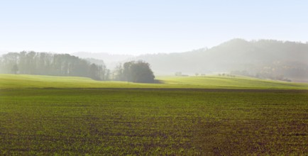 Rural landscape in Hohenlohe, an area in Southern Germany
