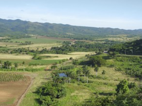 Tropical scene around Vinales Valley in Cuba, a island in the caribbean sea